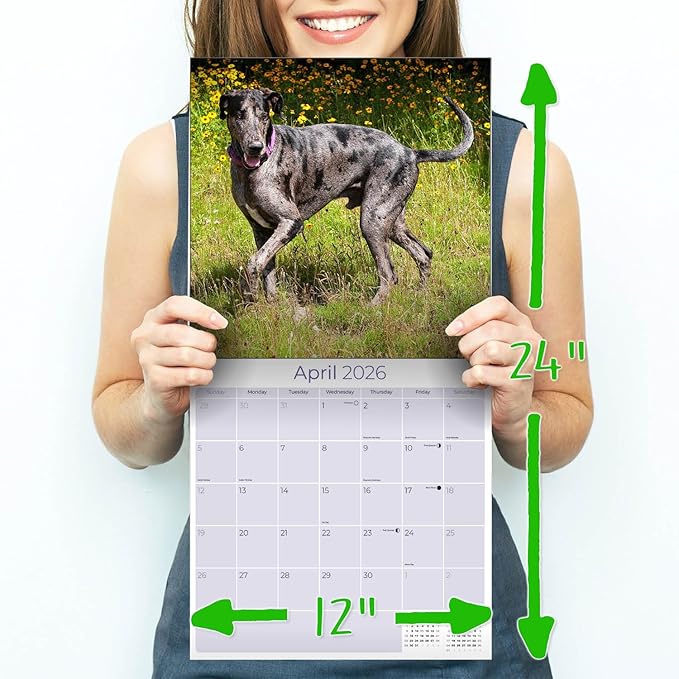 Great Dane Calendar 2026 – 16-Month Dog Breed Wall Calendar by MegaCalendars – Large Daily Blocks, Thick No-Bleed Paper, Made in USA