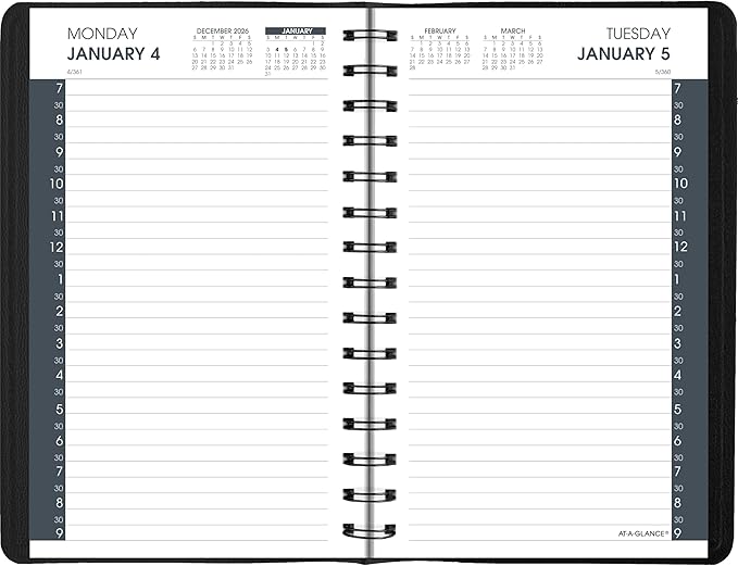 AT-A-GLANCE 2027 Appointment Book Planner, Daily, 5" x 8", Half-Hour, Black (702070527)