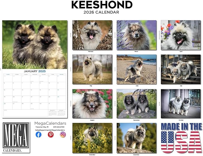 2025 2026 Keeshond Calendar - Dog Breed Monthly Wall Calendar - 12" x 18" Open - Thick No-Bleed Paper - Giftable - Academic Teacher's Planner Calendar Organizing & Planning - Made in USA