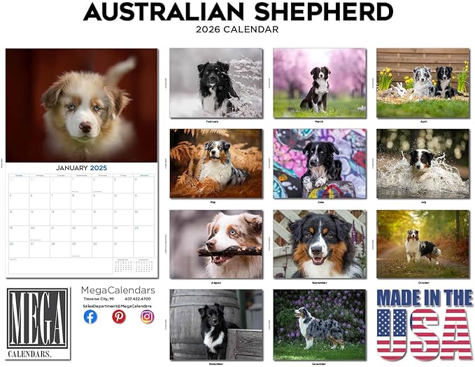 2025 2026 Australian Shepherd Calendar - Dog Breed Monthly Wall Calendar - 12" x 18" Open - Thick No-Bleed Paper - Giftable - Academic Teacher's Planner Calendar Organizing & Planning - Made in USA