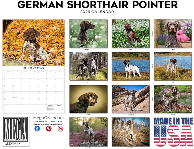 2025 2026 German Shorthair Pointer Calendar - Dog Breed Monthly Wall Calendar - 12" x 18" Open - Thick No-Bleed Paper - Giftable - Academic Teacher's Planner Calendar Organizing & Planning - Made in USA