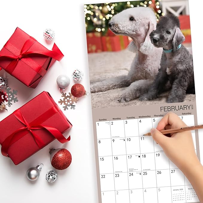 2026 Wall Calendar, Bedlington Terrier Wall Calendar, 12" x 24" Open,Family Planner Calendar, Home & Office Organizer,Hangable, for Dogs Lover
