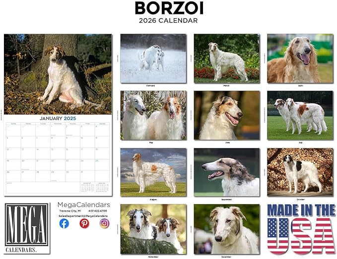 2025 2026 Borzoi Calendar - Dog Breed Monthly Wall Calendar - 12" x 18" Open - Thick No-Bleed Paper - Giftable - Academic Teacher's Planner Calendar Organizing & Planning - Made in USA