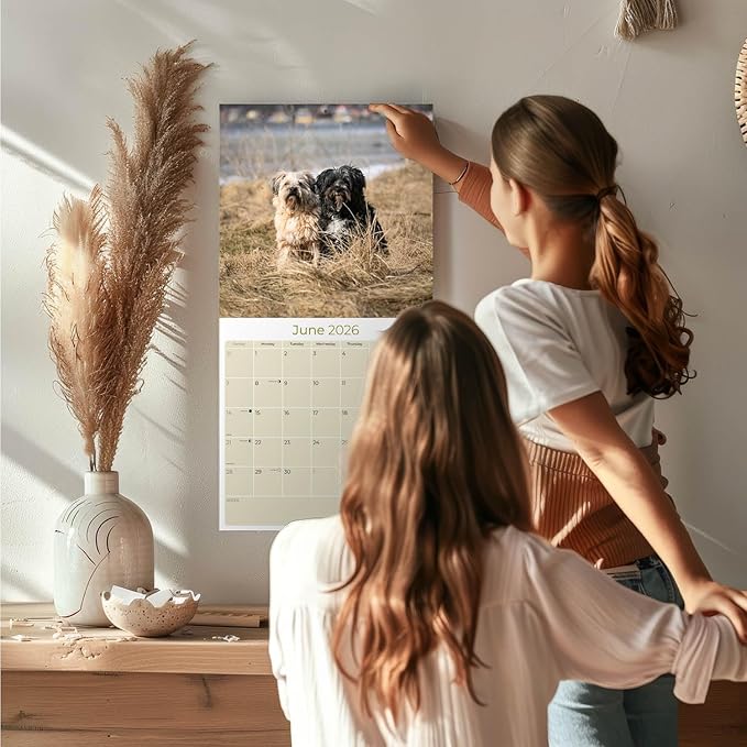Tibetan Terrier Calendar 2026 by MegaCalendars – Monthly Dog Breed Wall Calendar, Made in USA