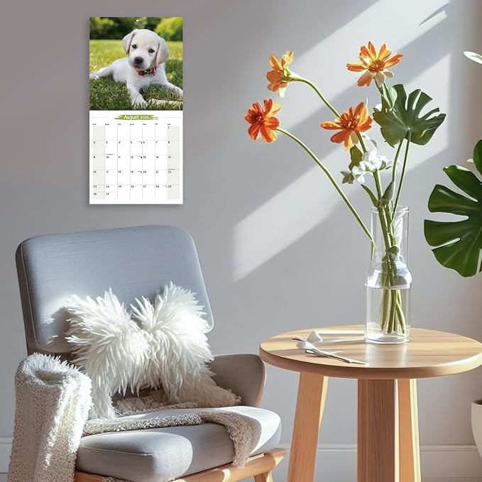 2026 Wall Calendar Labrador Retriever Planner Calendar, Hangable Monthly Wall Calendar with Large Blocks for Organizing & Planning, Academic Schedule, Home, Office & family, Thick & Sturdy Paper (12"x24" Open)