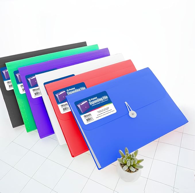 BAZIC Products 13-Pocket A4/Letter Size Poly Expanding File, for Documents Office School, Case of 6
