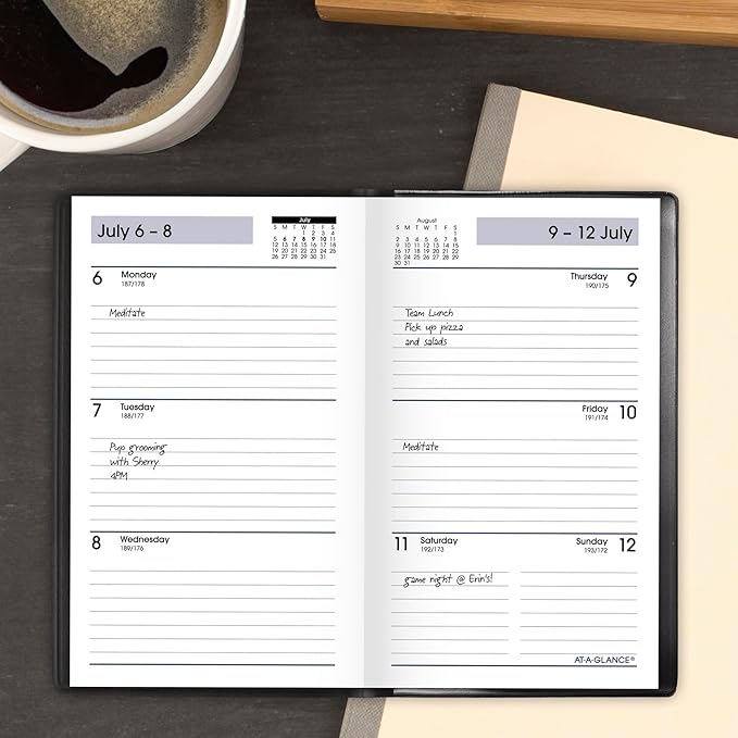 AT-A-GLANCE® DayMinder® Academic 2026-2027 Weekly Planner, Black, Pocket, 3 1/2" x 6"
