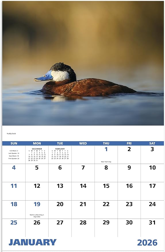 Waterfowl 2026 Hanging Wall Calendar - 19" x 11" (Open) 2026 Monthly Appointment Planner and Organizer. Beautiful pictures of ducks, geese, and other large aquatic birds.