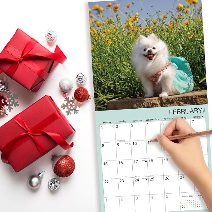 2025-2026 Wall Calendar,Pomeranian Wall Calendar, 12" x 24" Open,Family Planner Calendar Organizer with Pomeranian Images, for Dogs Lovers