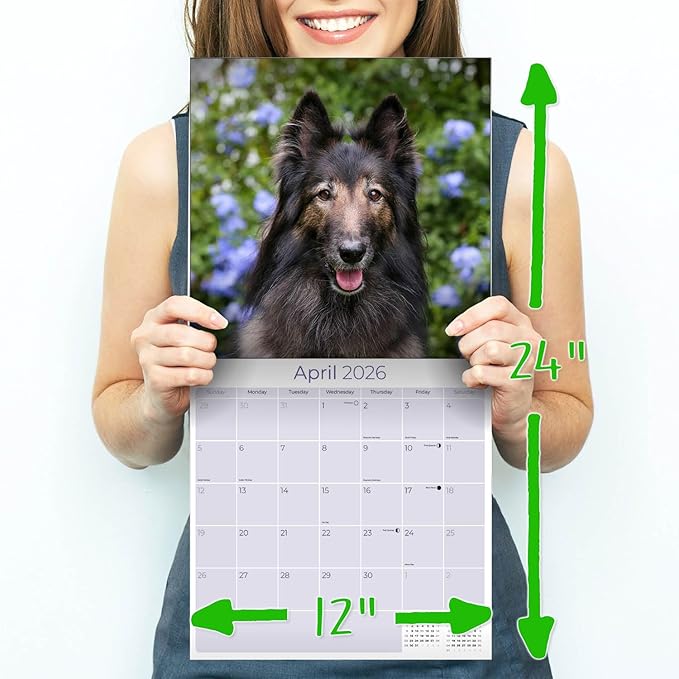 Belgian Shepherd Calendar 2026 by MegaCalendars – Monthly Dog Breed Wall Calendar, Made in USA