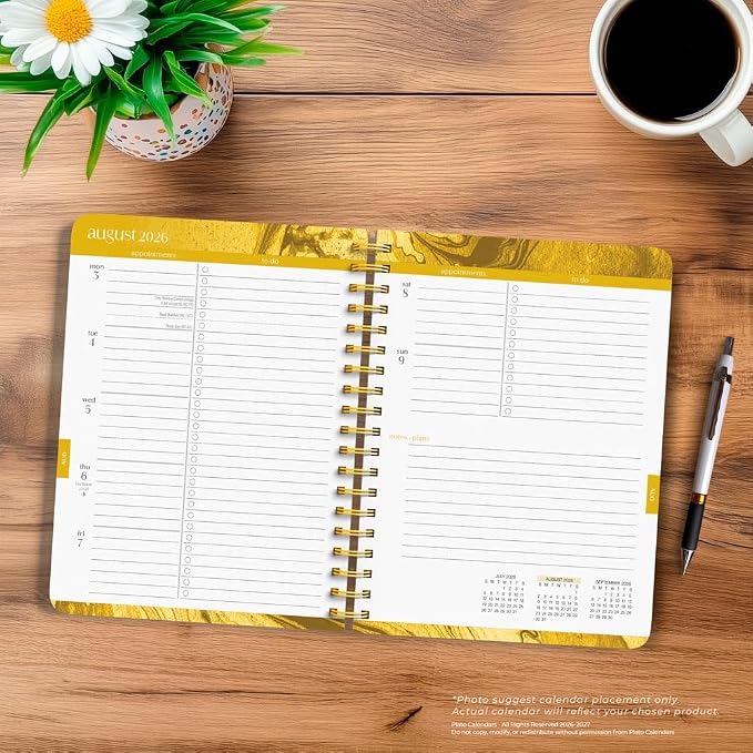 Crackled Blush | 2027 6 x 7.75 Inch 18 Months Weekly Desk Planner | Foil Stamped Cover | July 2026 - December 2027 | Plato | Planning Stationery