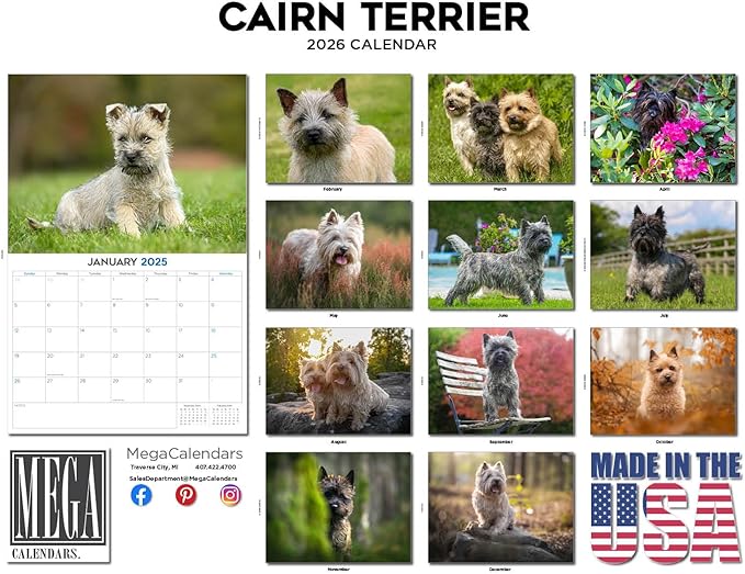 2025 2026 Cairn Terrier Calendar - Dog Breed Monthly Wall Calendar - 12" x 18" Open - Thick No-Bleed Paper - Giftable - Academic Teacher's Planner Calendar Organizing & Planning - Made in USA