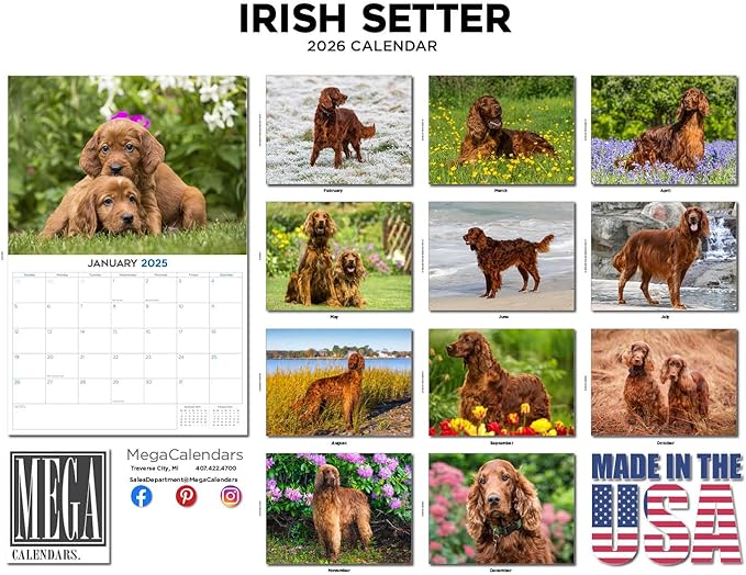 2025 2026 Irish Setter Calendar - Dog Breed Monthly Wall Calendar - 12" x 18" Open - Thick No-Bleed Paper - Giftable - Academic Teacher's Planner Calendar Organizing & Planning - Made in USA