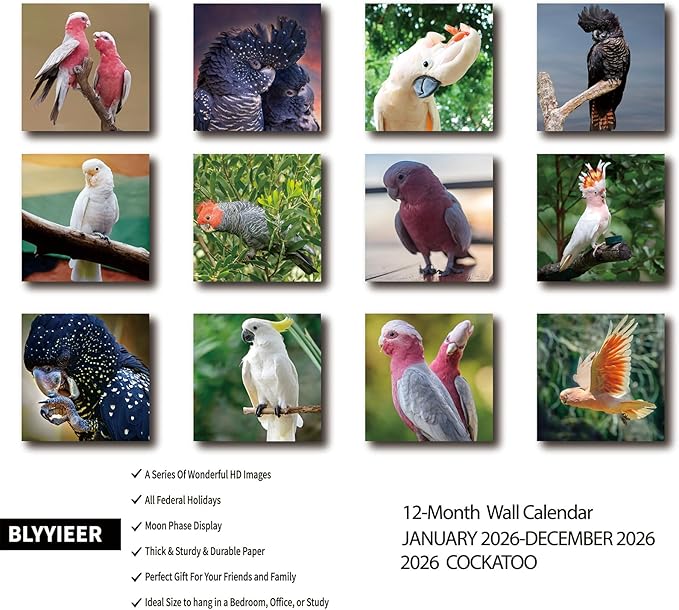 2026 Wall Calendar,Cockatoo Calendar 2026,OWL Monthly Wall Calendar, 12" x 24" Open,Family Planner Calendar, Home & Office Organizer,Hangable