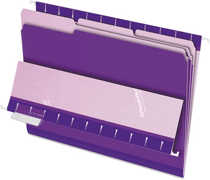 Pendaflex Interior File Folders, 1/3 Cut, Top Tab, Letter Size, Violet, 100 per Box (4210 1/3 VIO)