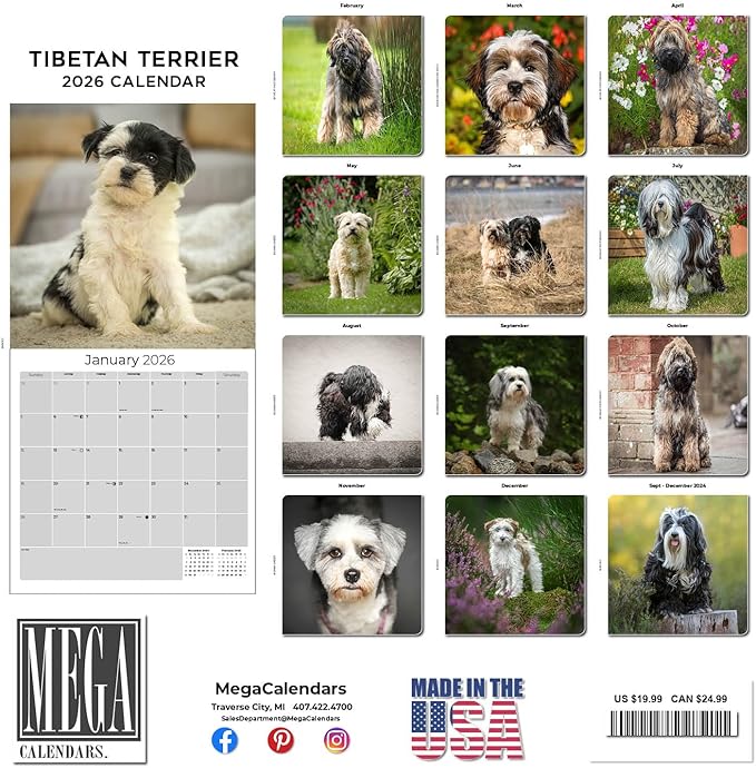 Tibetan Terrier Calendar 2026 by MegaCalendars – Monthly Dog Breed Wall Calendar, Made in USA