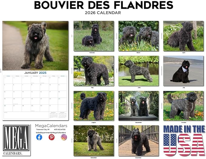2025 2026 Bouvier Des Flandres Calendar - Dog Breed Monthly Wall Calendar - 12" x 18" Open - Thick No-Bleed Paper - Giftable - Academic Teacher's Planner Calendar Organizing & Planning - Made in USA
