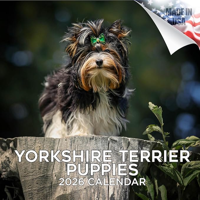 Yorkshire Terrier Puppies Calendar 2026 by MegaCalendars – Monthly Dog Breed Wall Calendar, Made in USA