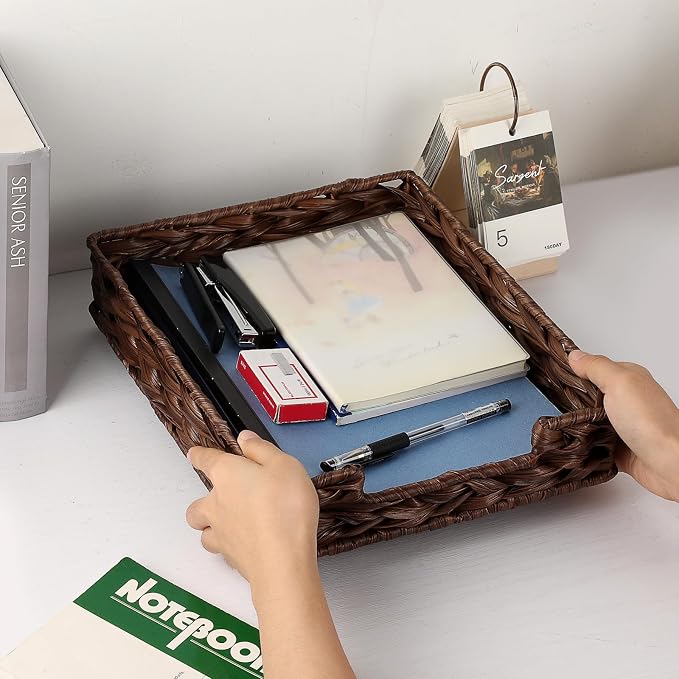 BTSKY Plastic A4 Paper Tray Organizer for Desktop Accessories, Hand-Woven File Holder with Sturdy Frame, All-in-One Storage for Letters, Magazines and Notebooks, Office and Home Supplies, Brown