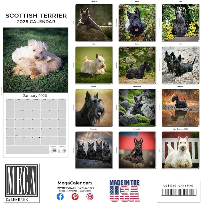 Scottish Terrier Calendar 2026 by MegaCalendars – Monthly Dog Breed Wall Calendar, Made in USA