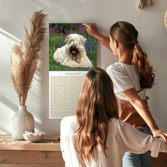 Softcoat Wheaten Terrier Calendar 2026 by MegaCalendars – Monthly Dog Breed Wall Calendar, Made in USA