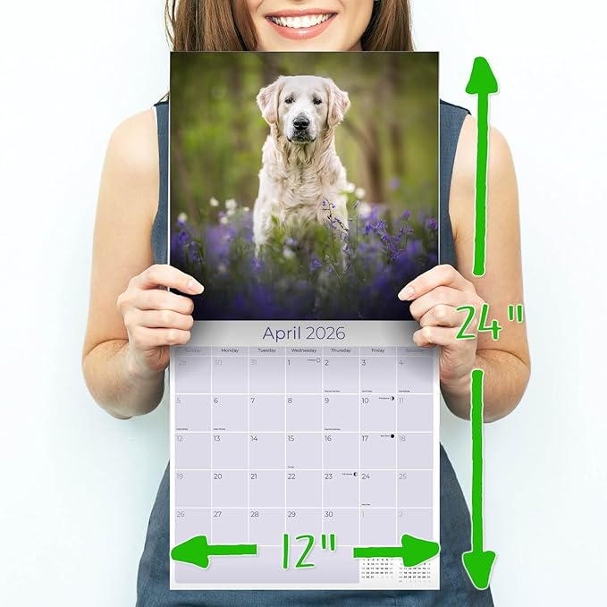 Golden Retriever Calendar 2026 – 16-Month Dog Breed Wall Calendar by MegaCalendars – Large Daily Blocks, Thick No-Bleed Paper, Made in USA