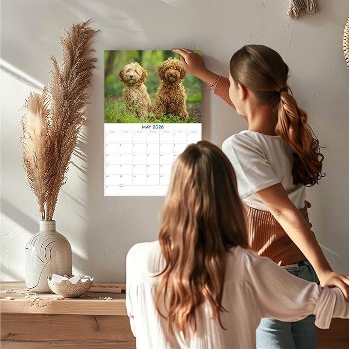 2025 2026 Labradoodle Calendar - Dog Breed Monthly Wall Calendar - 12" x 18" Open - Thick No-Bleed Paper - Giftable - Academic Teacher's Planner Calendar Organizing & Planning - Made in USA