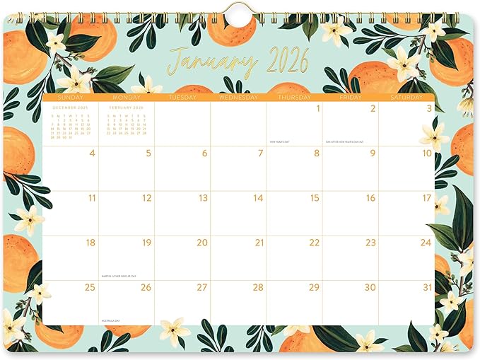 Orange Circle Studio Deluxe Wall Calendar 2025-26, Fruit & Flora, Large Monthly Planner with Hanging Hook for Home Office, Classroom or School Use, Family Calendar, Aesthetic Hanging Organizer