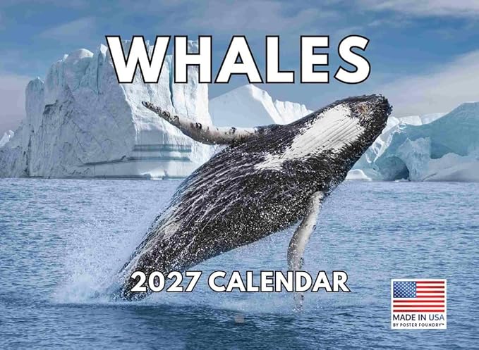 Whale Calendar 2027 Monthly Wall Calender 12 Month