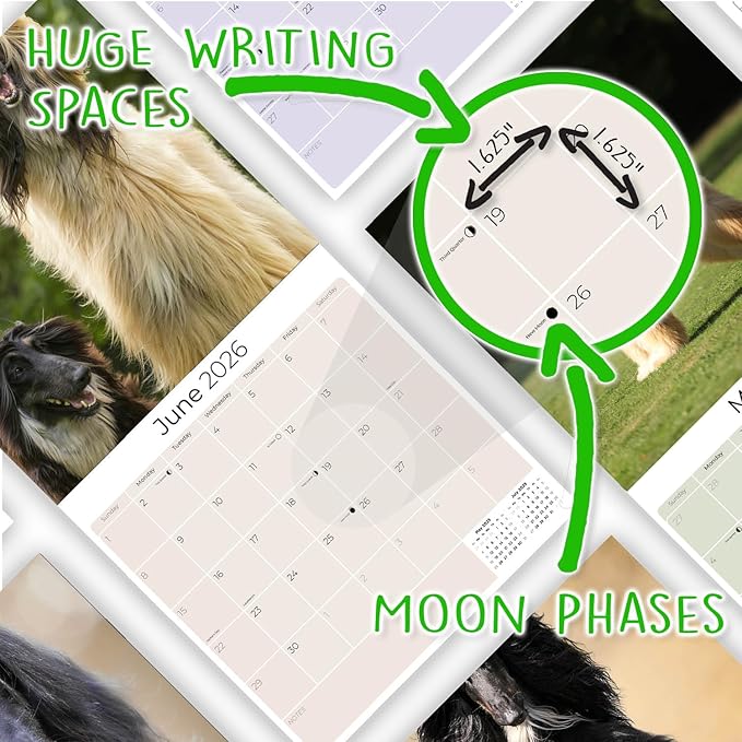 Afghan Hound Calendar 2026 - Monthly Dog Breed Wall Calendar, 12x24 Open, Thick No-Bleed Paper, Made in USA by MegaCalendars