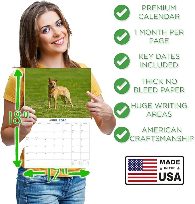 2025 2026 Australian Cattle Dog Calendar - Dog Breed Monthly Wall Calendar - 12" x 18" Open - Thick No-Bleed Paper - Giftable - Academic Teacher's Planner Calendar Organizing & Planning - Made in USA