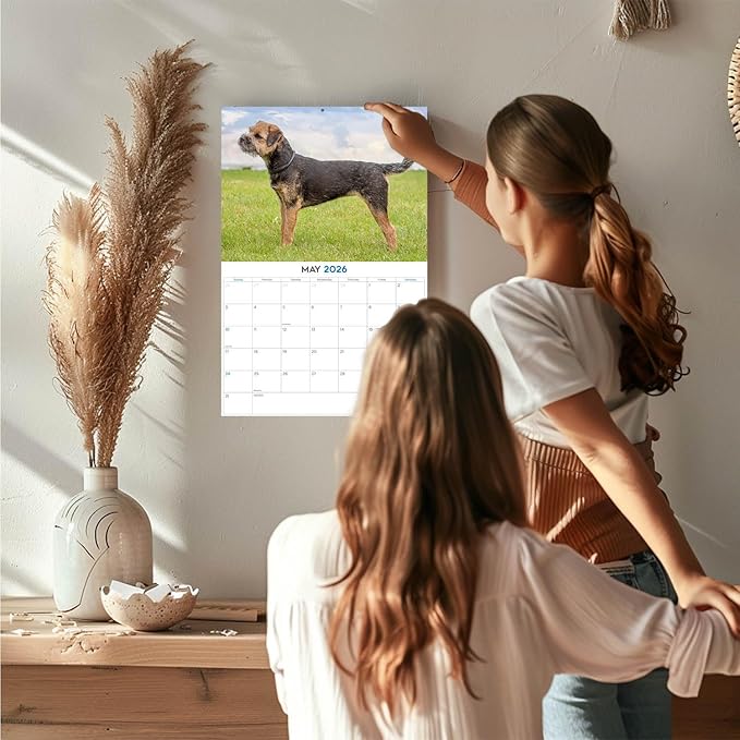 2025 2026 Border Terrier Calendar - Dog Breed Monthly Wall Calendar - 12" x 18" Open - Thick No-Bleed Paper - Giftable - Academic Teacher's Planner Calendar Organizing & Planning - Made in USA