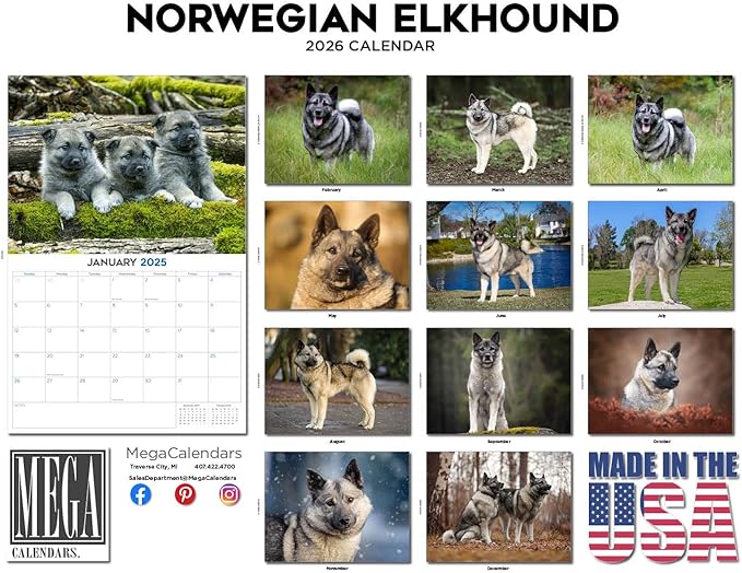 2025 2026 Norwegian Elkhound Calendar - Dog Breed Monthly Wall Calendar - 12" x 18" Open - Thick No-Bleed Paper - Giftable - Academic Teacher's Planner Calendar Organizing & Planning - Made in USA