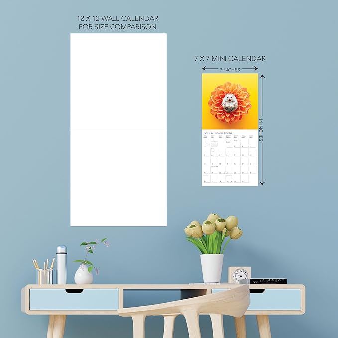 Graphique 2025 Happiest Hedgehogs Mini Wall Calendar | 7” x 7” | Thick Paper | Home & Office Organizer | Large Monthly Grid | 3 Languages & Marked Holidays | 4 Month Preview Page for 2026