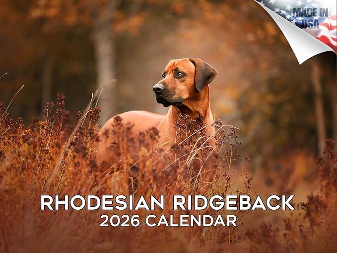 2025 2026 Rhodesian Ridgeback Calendar - Dog Breed Monthly Wall Calendar - 12" x 18" Open - Thick No-Bleed Paper - Giftable - Academic Teacher's Planner Calendar Organizing & Planning