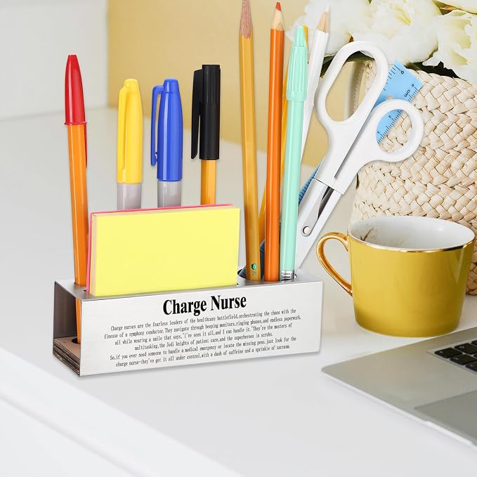 Funny Charge Nurse Appreciation Gift for Head Nurses Healthcare Leaders, Nurse Office Décor for Hospital Workstations, Medical Professional Humor Gift, office Pencil Holder Desk for Desk SD280