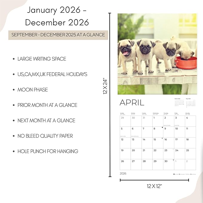 Pug Puppy Wall Calendar 2026| 12" x 24" Open | Dog Calendar Photography Thick & Sturdy Paper for Organizing & Planning | Office Kitchen Decor or Gift | Pacific Waters Press (Pug Puppies)