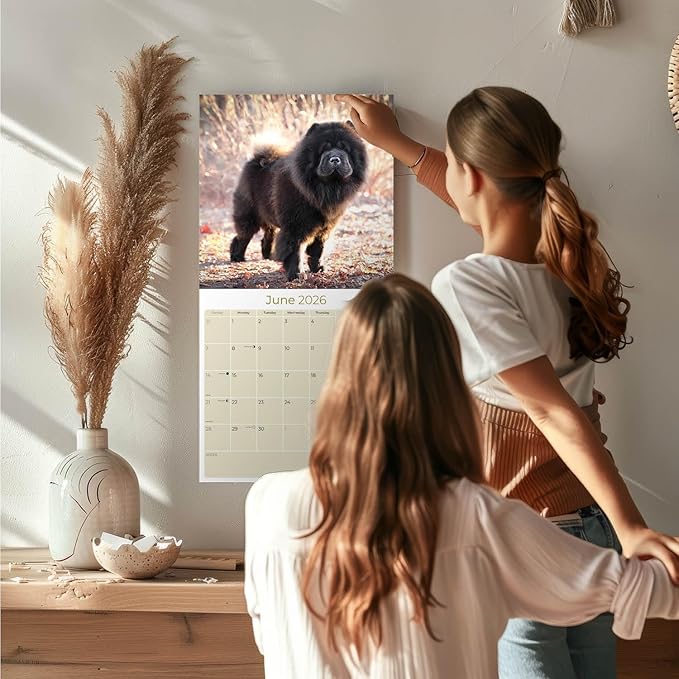 Chow Chow Calendar 2026 by MegaCalendars – Monthly Dog Breed Wall Calendar, Made in USA