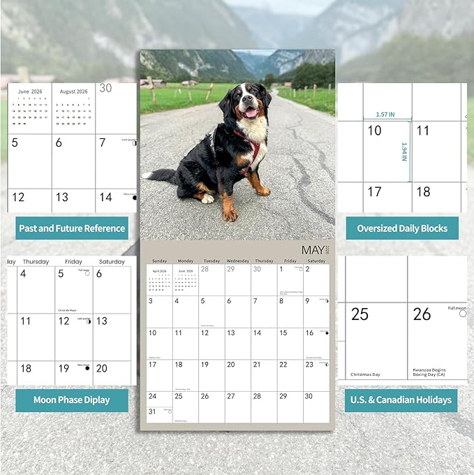 2026 Wall Calendar,Bernese Mountain Wall Calendar, 12" x 24" Open,Family Planner Calendar Organizer with Bernese Mountain dog Images, for Dogs Lovers