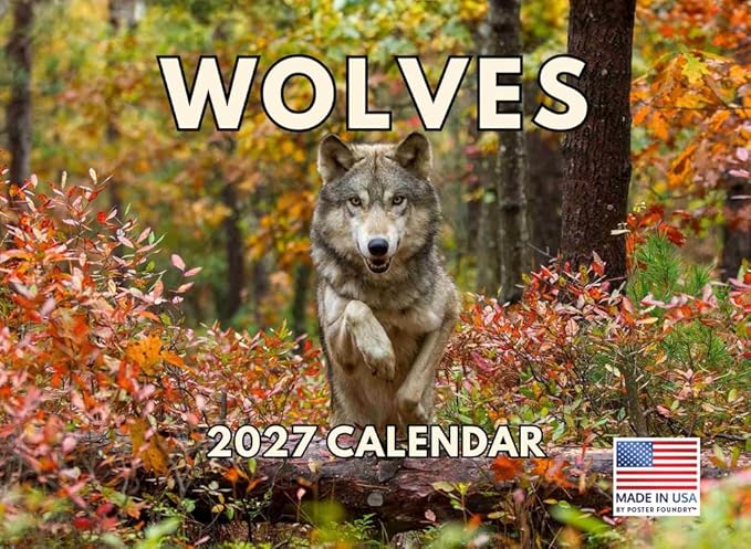 Wolf Calendar 2027 Wolves Monthly Wall Calender 12 Month