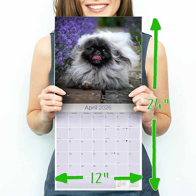 Pekingese Calendar 2026 by MegaCalendars – Monthly Dog Breed Wall Calendar, Made in USA