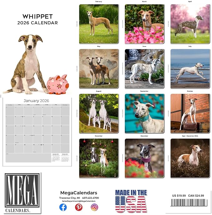Whippet Calendar 2026 by MegaCalendars – Monthly Dog Breed Wall Calendar, Made in USA