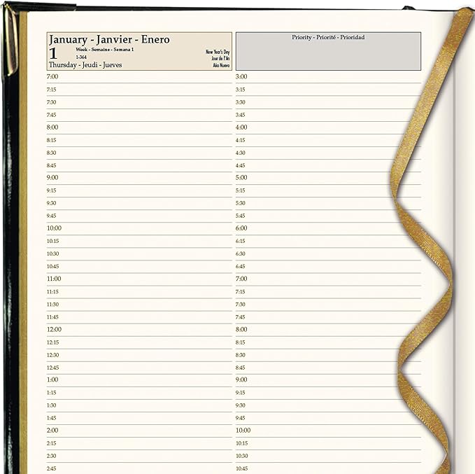 Brownline® 2026 Executive Daily Planner, Appointment Book, 12 Months, January to December, Sewn Binding, 10.75" x 7.75", Black, Trilingual (CBE514-26)