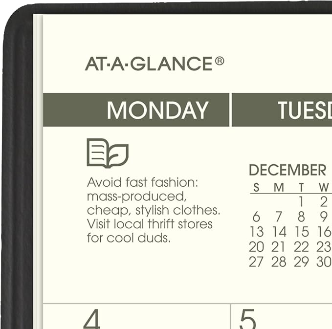AT-A-GLANCE 2027-2028 Planner, 2-Year Monthly Planner, 3.5" x 6", Pocket Size, Unruled Daily Blocks, Recycled Black (70024G0527)