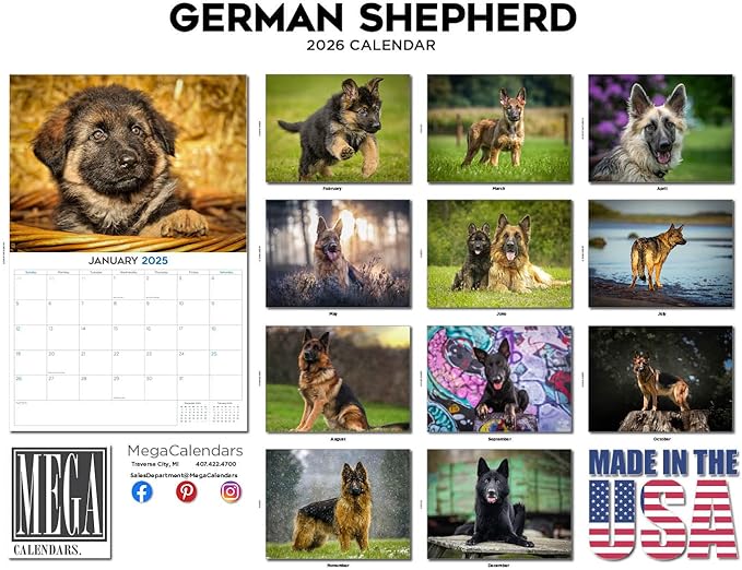 2025 2026 German Shepherd Calendar - Dog Breed Monthly Wall Calendar - 12" x 18" Open - Thick No-Bleed Paper - Giftable - Academic Teacher's Planner Calendar Organizing & Planning - Made in USA