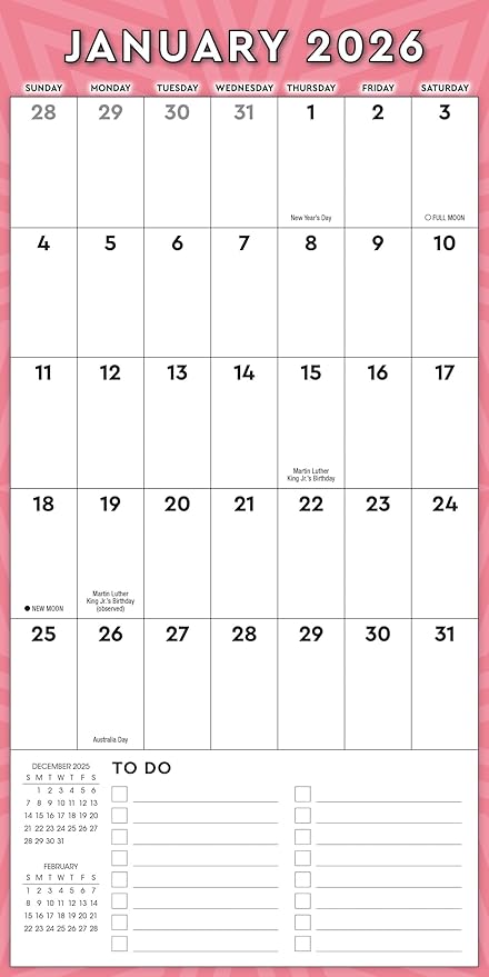 Great Big Grid 2026 Wall Planner, 12-Month Large Grid Family Calendar & Organizer with Holidays: 2026, 12" × 12"