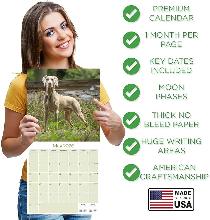 Weimaraner Calendar 2026 – 16-Month Dog Breed Wall Calendar by MegaCalendars – Large Daily Blocks, Thick No-Bleed Paper, Made in USA