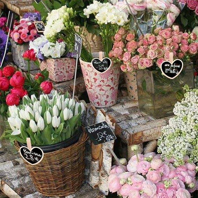 30 Pcs 2.6 * 2.2Inch Wood Mini Chalkboard Clips Wooden Blackboard Clips Chalk Board Message Board Tag Signs with Pegs for Memo,Note Taking,Food Label,Wedding Table Number Place Card,Party Decor