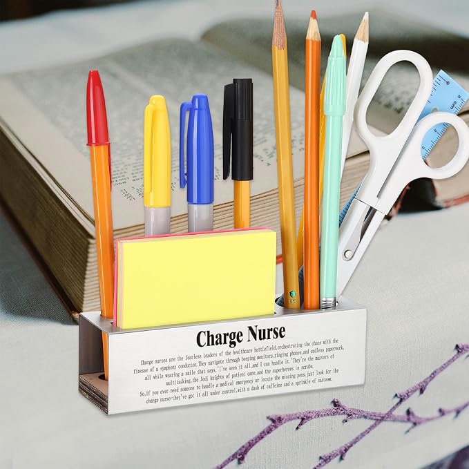 Funny Charge Nurse Appreciation Gift for Head Nurses Healthcare Leaders, Nurse Office Décor for Hospital Workstations, Medical Professional Humor Gift, office Pencil Holder Desk for Desk SD280
