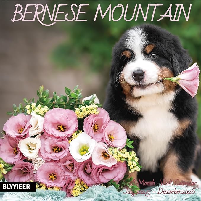 2026 Wall Calendar,Bernese Mountain Wall Calendar, 12" x 24" Open,Family Planner Calendar Organizer with Bernese Mountain dog Images, for Dogs Lovers